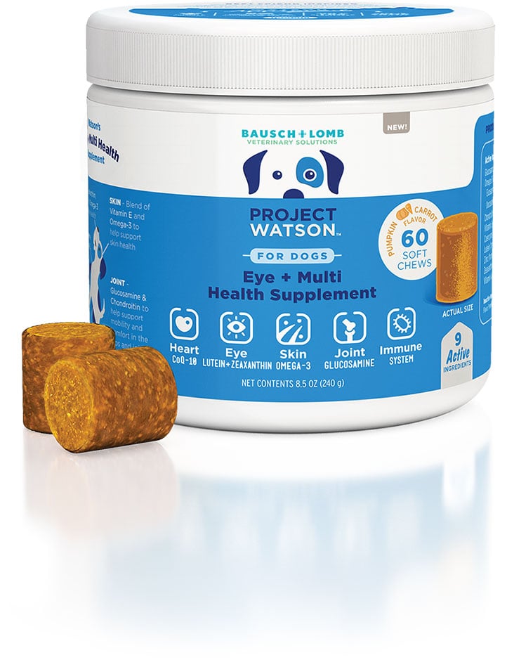 A container of Project Watson For Dogs Eye and Multi Health Supplement