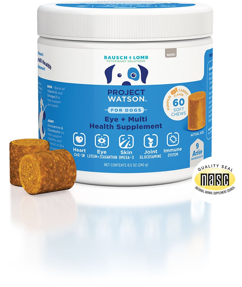 A container of Project Watson For Dogs Eye and Multi Health Supplement.