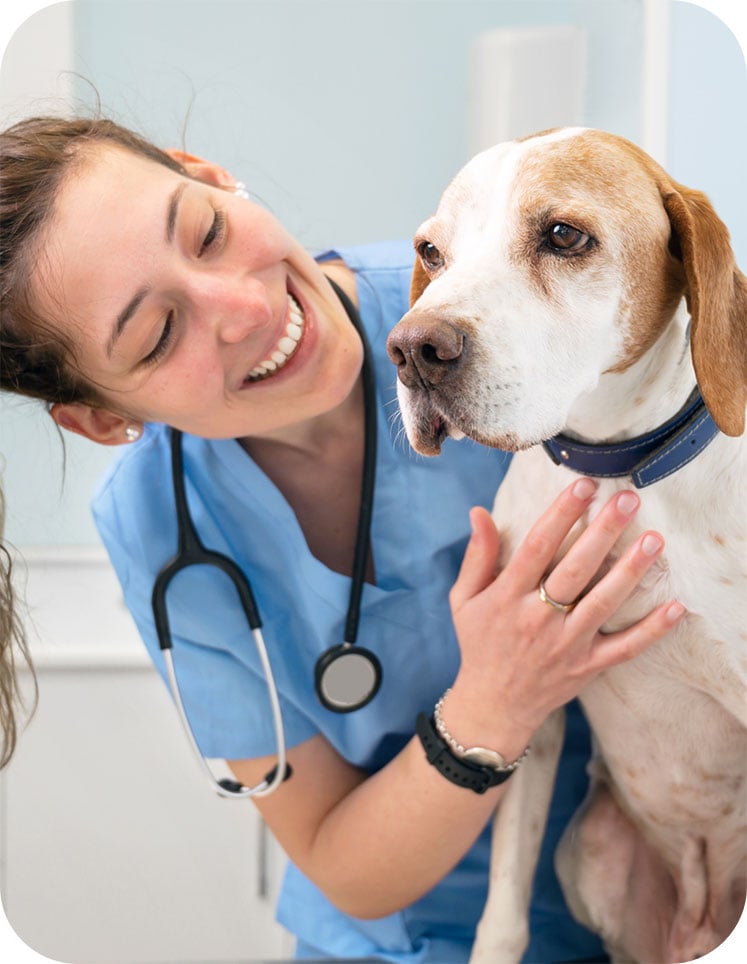 A vetrinarian smiles while holding to a dog.