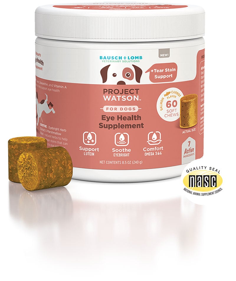 A container of Project Watson For Dogs Eye Health Supplement and Tear Stain Support.